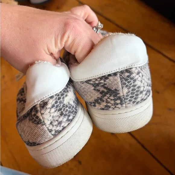 Steve Madden Reeves Python Sneaker - Picture 5 of 5